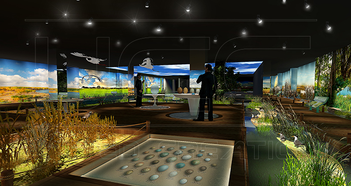 東營(yíng)鳥類博物館(圖3)