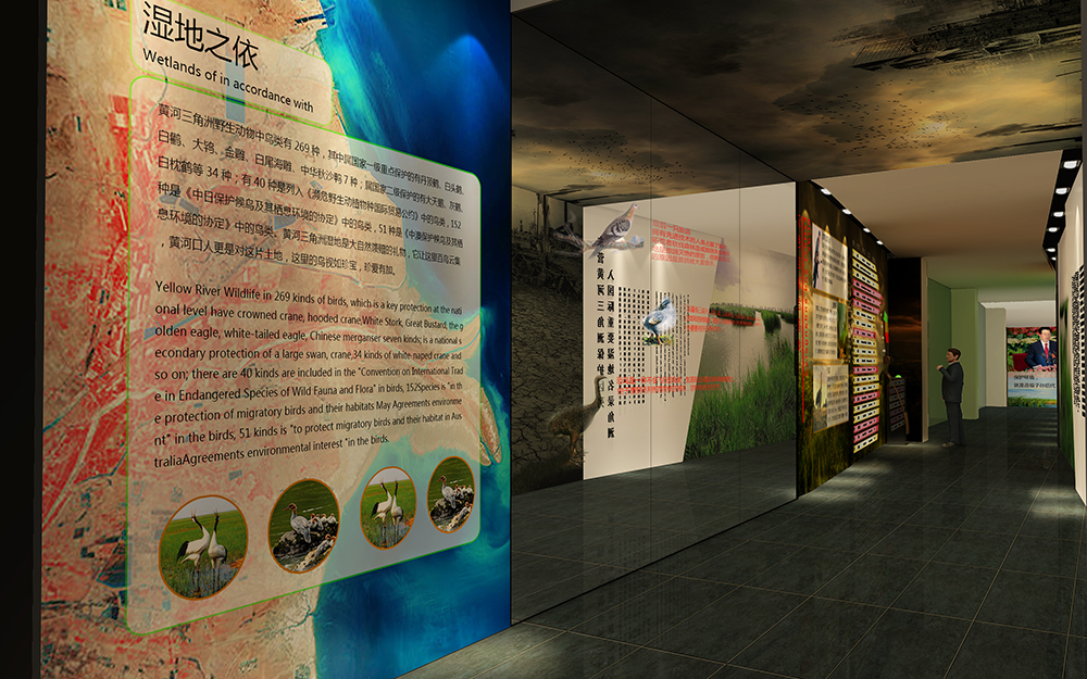 黃河口鳥類博物館設(shè)計(jì)案例(圖2)