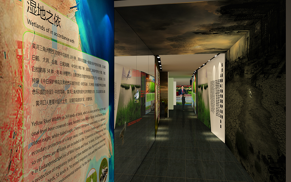 黃河口鳥類博物館設(shè)計(jì)案例(圖4)