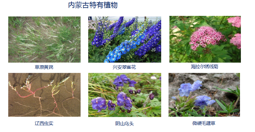 內蒙古科普展廳設計—案例續(xù)篇(圖5)