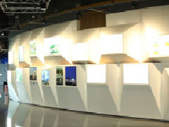 多媒體展廳設計在黨群活動中有哪些應用?