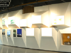 多媒體展廳設計:色彩中調和方式及對比方式