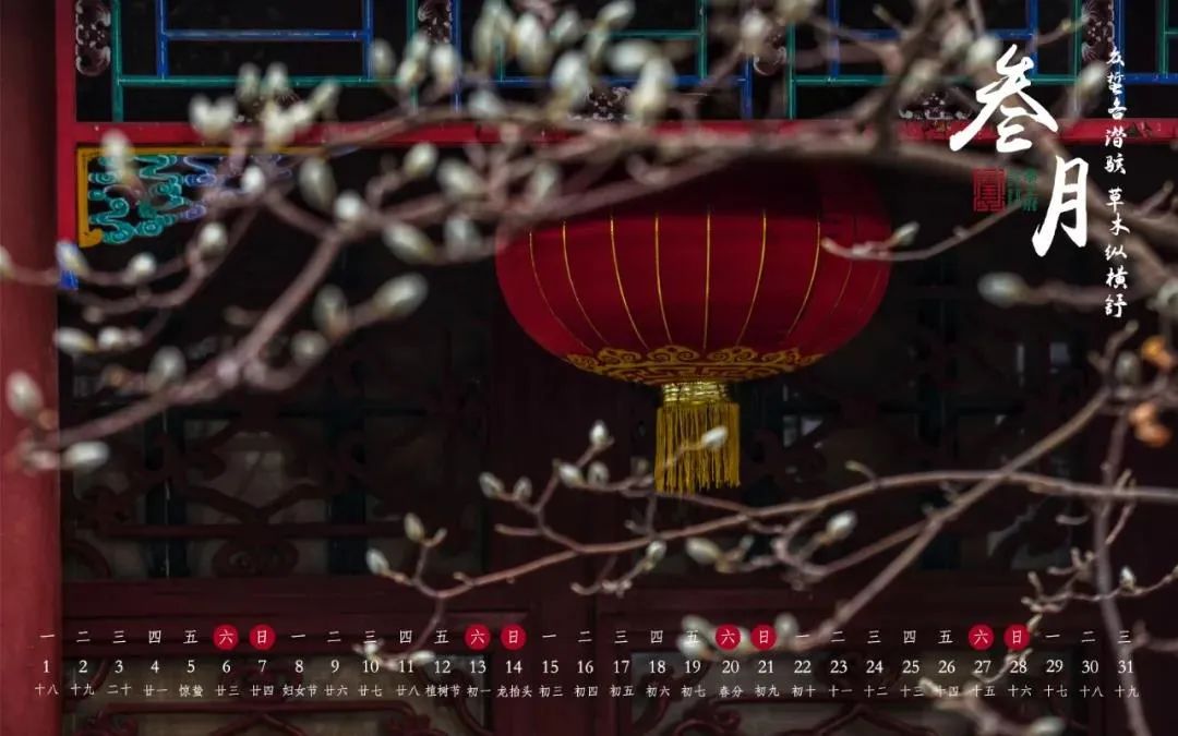 兩會(huì)開(kāi)啟，3月拼顏值拼知識(shí)的月歷大賞...(圖9)