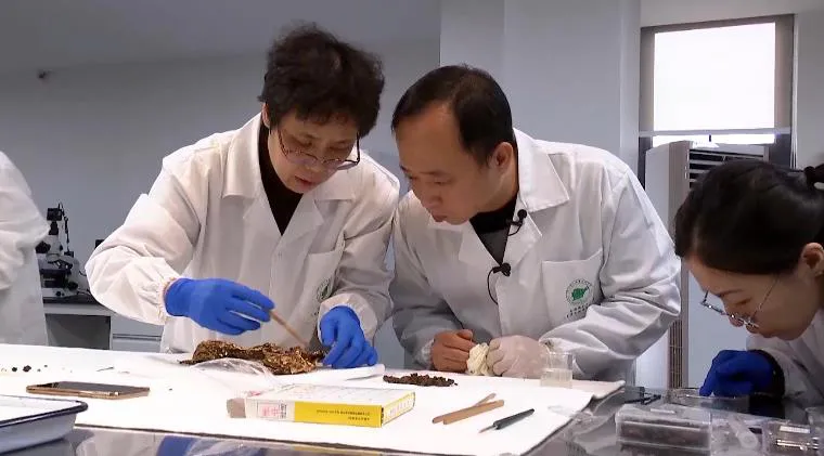 三星堆遺址“上新”，“再驚天下”~(圖2)