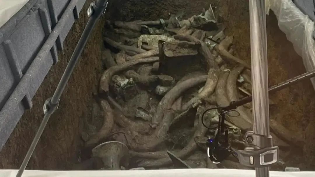 三星堆遺址“上新”，“再驚天下”~(圖6)