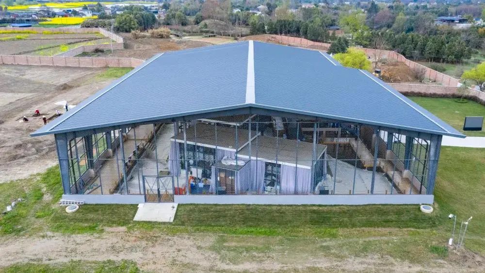 三星堆遺址“上新”，“再驚天下”~(圖11)