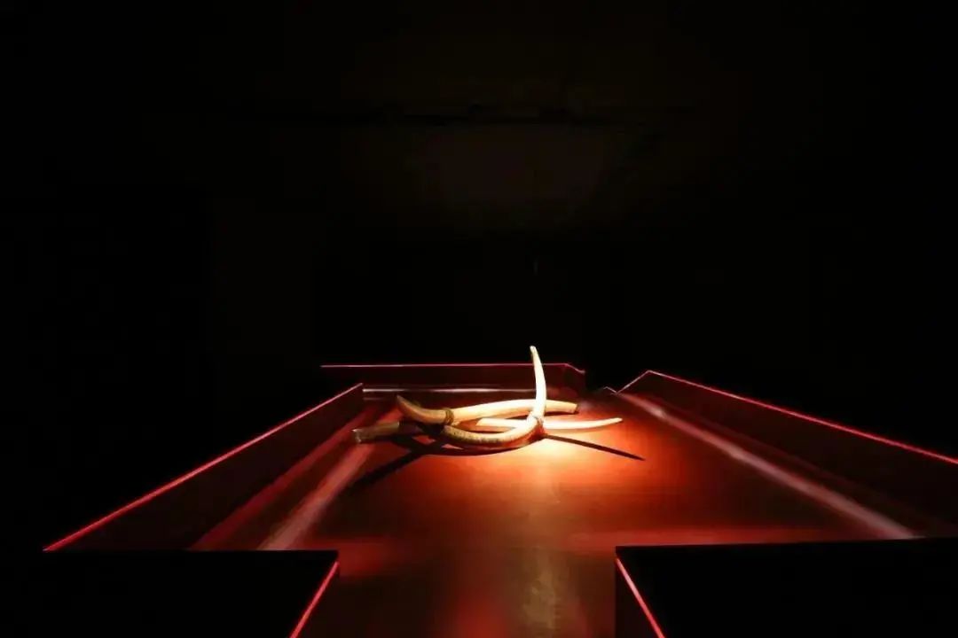 圈內(nèi)必看！國外那些讓人驚艷的博物館照明設(shè)計~(圖13)