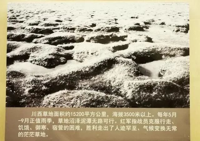 【建黨100周年】長征——偉大壯舉，不朽豐碑！(圖33)