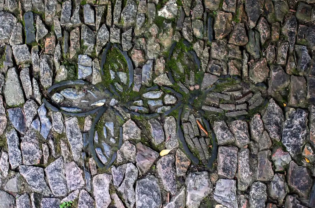 一見(jiàn)傾城！蘇州園林最美的花街鋪地~(圖5)