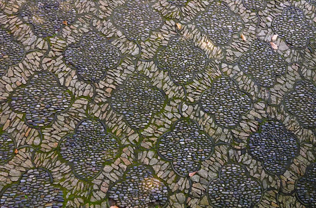 一見(jiàn)傾城！蘇州園林最美的花街鋪地~(圖8)