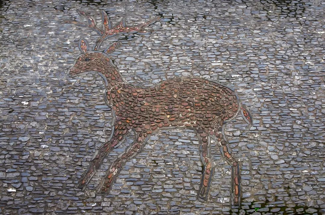 一見(jiàn)傾城！蘇州園林最美的花街鋪地~(圖12)