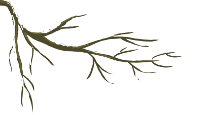 《中國考古大會(huì)》告訴你！我們?yōu)槭裁催€需要考古？(圖2)