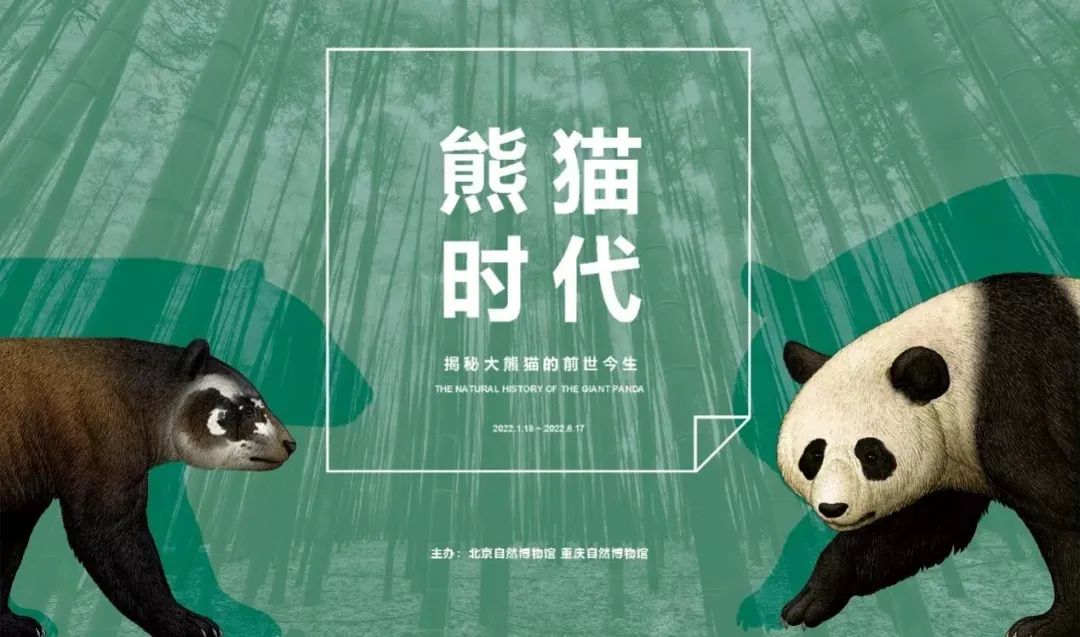 3月北京展訊丨最是一年春好處，最高人氣藝術(shù)大展等你去打卡...(圖10)